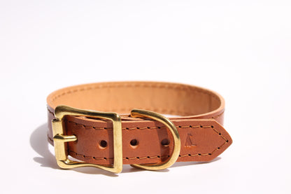 Luxurious caramel leather dog collar with golden brass hardware, showcasing exquisite craftsmanship and timeless elegance